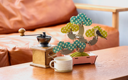 Play Plants Bonsai Puzzles - Simple Pick