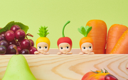HIPPERS - Harvest Series - Daily Pick