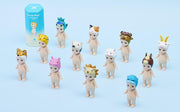 Animal 4 Series - Daily Pick