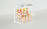 Sonny Angel Acrylic Display Case - Fresh Choice