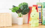SMISKI Touch Light - Premium Pick